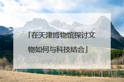 在天津博物馆探讨文物如何与科技结合